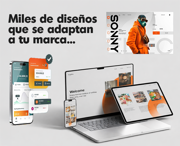 Programador de páginas web, agencia de publicidad en Valencia, Venezuela, Carabobo, desarrollador, responsive, UX, Ui design, dominio y hosting